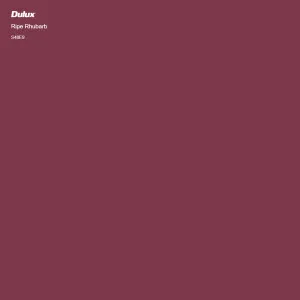 Ripe Rhubarb by Dulux, a Reds for sale on Style Sourcebook