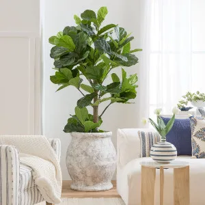 Muse Garcia Planter Whitewash by Muse, a Plants for sale on Style Sourcebook