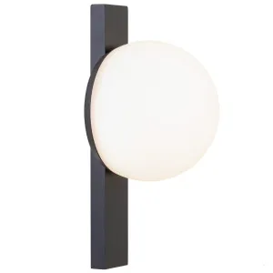 Telbix Bernay Modern Orb Outdoor LED Wall Light - Black by Telbix, a Wall Lighting for sale on Style Sourcebook