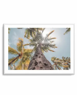 Hawaii Palms by Ozzy Geercke by oliveetoriel.com, a Prints for sale on Style Sourcebook