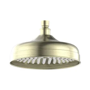 York 200mm Shower Head Aged Brass by NERO, a Shower Heads & Mixers for sale on Style Sourcebook