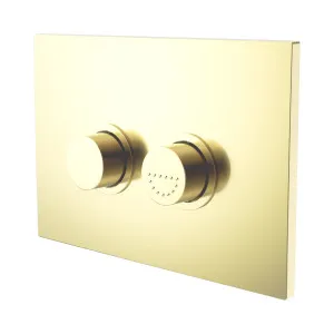 Mecca Care Raised Disabled Care Pneumatic Flush Buttons Plate DDA Accessible Toilet Compliant Brushed Gold by NERO, a Toilets & Bidets for sale on Style Sourcebook