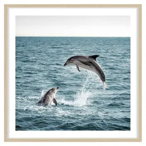 Dolphin Leap Framed Print in 84 x 84cm Natural by OZ Design, a Prints for sale on Style Sourcebook