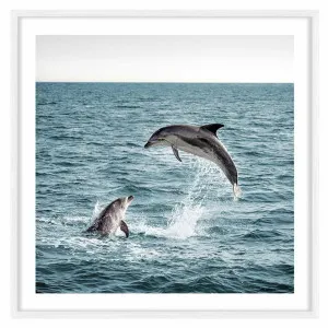 Dolphin Leap Framed Print in 103 x 103cm White by OZ Design, a Prints for sale on Style Sourcebook