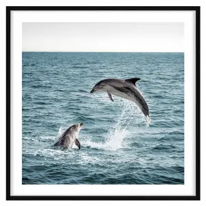 Dolphin Leap Framed Print in 84 x 84cm Black by OZ Design, a Prints for sale on Style Sourcebook