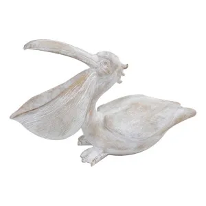 Fiji Pelican 45.5x28.7cmin Fawn Wash by OZ Design, a Statues & Ornaments for sale on Style Sourcebook