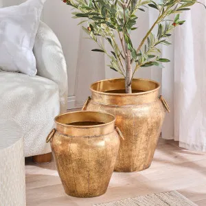 Muse Nova Metal Planter Gold by Muse, a Plants for sale on Style Sourcebook