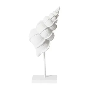Conch Shell Stand Sculpture - 12cm x 12cm x 35cm by James Lane, a Statues & Ornaments for sale on Style Sourcebook