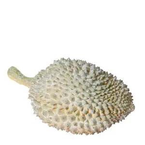 Durian Sculpture - 30cm x 19cm x 16cm by James Lane, a Statues & Ornaments for sale on Style Sourcebook