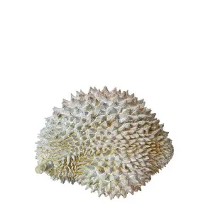Durian Sculpture - 22cm x 16cm x 17cm by James Lane, a Statues & Ornaments for sale on Style Sourcebook