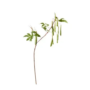 Bean Branch Green - 119CM by James Lane, a Vases & Jars for sale on Style Sourcebook