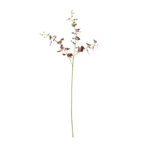 Dancing Orchid Spray Burgundy - 97 cm by James Lane, a Plants for sale on Style Sourcebook