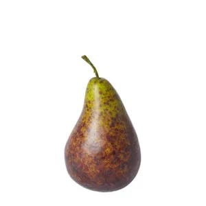 Pear Bartlet Brown - 13 cm by James Lane, a Decor for sale on Style Sourcebook