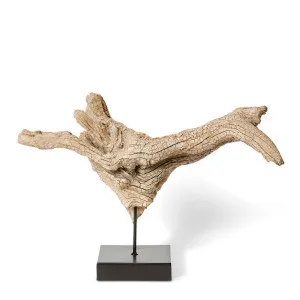 Akhule Sculpture Natural/Black - 43cm by Elme Living, a Statues & Ornaments for sale on Style Sourcebook