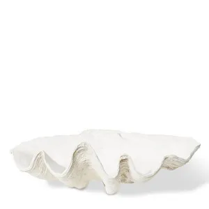 Clam Shell Sculpture White - 27cm by Elme Living, a Statues & Ornaments for sale on Style Sourcebook