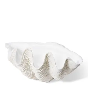 Clam Shell X-Lg Sculpture Off White - 41cm by Elme Living, a Statues & Ornaments for sale on Style Sourcebook