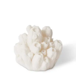 Coral Night Light Sea Lotus White - 8cm by Elme Living, a Lighting for sale on Style Sourcebook