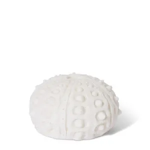Coral Night Light Sea Urchin White - 8cm by Elme Living, a Lighting for sale on Style Sourcebook