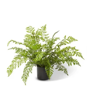 Fern Tassel Green - 46cm by Elme Living, a Plants for sale on Style Sourcebook