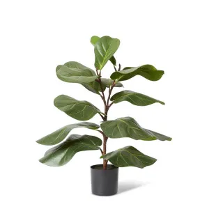 Fiddle Lush Tree Green - 70cm by Elme Living, a Plants for sale on Style Sourcebook