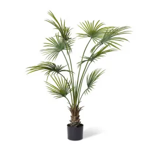 Kwai Palm (Outdoor) Green - 180cm by Elme Living, a Plants for sale on Style Sourcebook