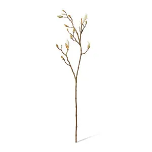 Magnolia Flowering Bud Spray White/Brown - 104cm by Elme Living, a Plants for sale on Style Sourcebook