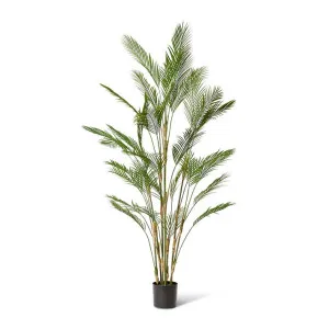 Palm Phoenix (Outdoor) Green - 210cm by Elme Living, a Plants for sale on Style Sourcebook