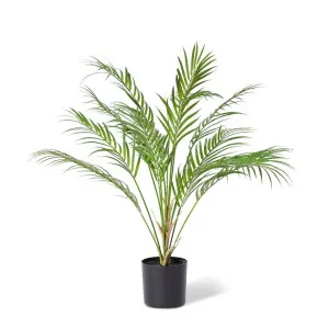 Phoenix Palm Plant Green - 65cm by Elme Living, a Plants for sale on Style Sourcebook