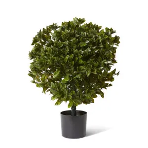 Topiary Gloxinia Potted (Outdoor) Green - 76 cm by Elme Living, a Plants for sale on Style Sourcebook