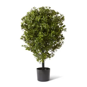 Topiary Hazel Leaf Potted (Outdoor) Green - 91 cm by Elme Living, a Plants for sale on Style Sourcebook