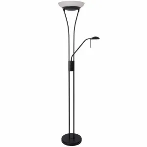 Reed LED Floor Lamp Black by Lexi Lighting, a Lighting for sale on Style Sourcebook