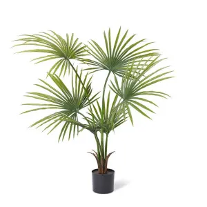 Kwai Palm (Outdoor) Green by Elme Living, a Plants for sale on Style Sourcebook