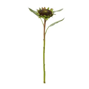 Sunflower Core Stem Burgundy - 52cm by James Lane, a Plants for sale on Style Sourcebook