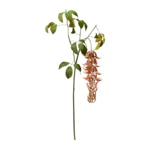 Jade Flower Spray Rust - 140cm by James Lane, a Plants for sale on Style Sourcebook