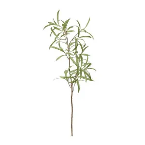 Banksia Branch Green - 128cm by James Lane, a Plants for sale on Style Sourcebook