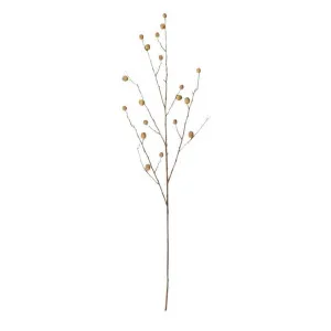 Berry Branch Natural - 108cm by James Lane, a Plants for sale on Style Sourcebook