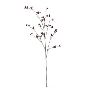 Berry Branch Burgundy - 105cm by James Lane, a Plants for sale on Style Sourcebook