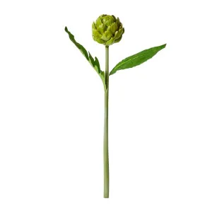 Artichoke Stem Green - 61cm by James Lane, a Plants for sale on Style Sourcebook