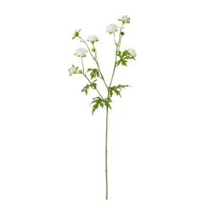 Ranunculus Spray White - 56cm by James Lane, a Plants for sale on Style Sourcebook