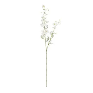 Delphinium Spray White White - 97cm by James Lane, a Plants for sale on Style Sourcebook
