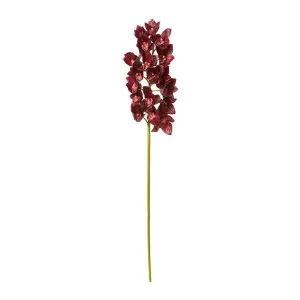 Cymbidium Lush Stem Burgundy - 112cm by James Lane, a Plants for sale on Style Sourcebook