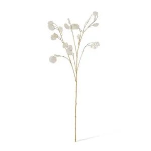 Silver Dollar Spray Pearl - 94cm by James Lane, a Plants for sale on Style Sourcebook