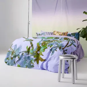 Floral Daze Quilt Cover Set by Kas Australia, a Quilts & Bedspreads for sale on Style Sourcebook