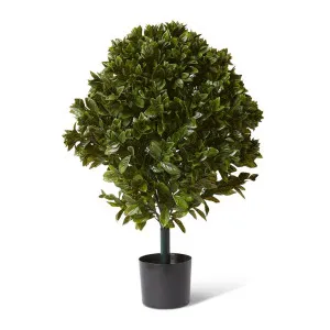 Topiary Gloxinia Potted (Outdoor) Green - 91 cm by Elme Living, a Plants for sale on Style Sourcebook