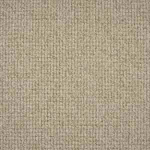 Palmetto - Orlando 4755 by EC Carpets, a Loop for sale on Style Sourcebook