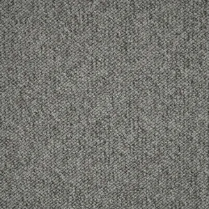 Pebble Bay - Coral 4816 by EC Carpets, a Loop for sale on Style Sourcebook