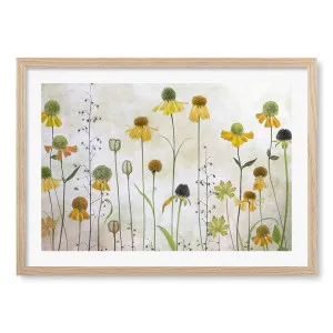Helenium Wall Art Print by Mandy Disher by Profile Australia, a Prints for sale on Style Sourcebook