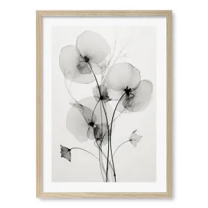 Transparent Botanic No1 Wall Art Print by Treechild by Profile Australia, a Prints for sale on Style Sourcebook