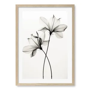 Whispers of Petals Wall Art Print by Treechild by Profile Australia, a Prints for sale on Style Sourcebook