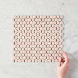 TileCloud Broadwater Pink Gloss Penny Round Mosaic Tile Shelf Decorations for Home by TileCloud, a Mosaic Tiles for sale on Style Sourcebook